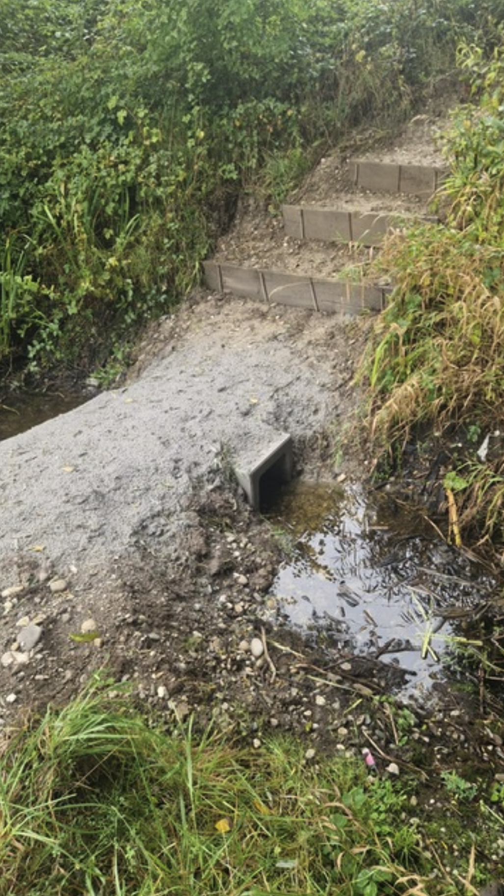 {{brizy_dc_image_alt imageSrc=