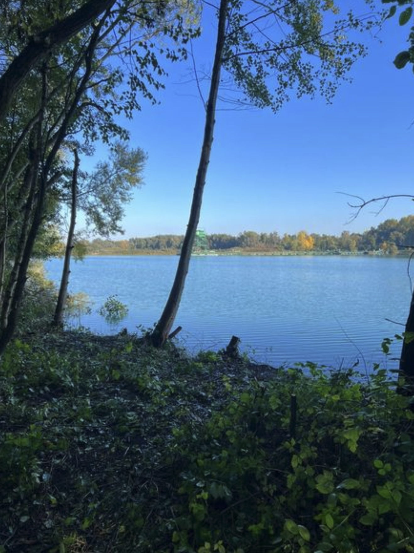 {{brizy_dc_image_alt imageSrc=